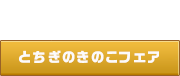 とちぎのきの宿泊ツアー